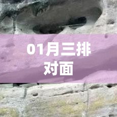 根据您的需求，以下是一个符合要求的标题，，一月三排对面，精彩瞬间不容错过。