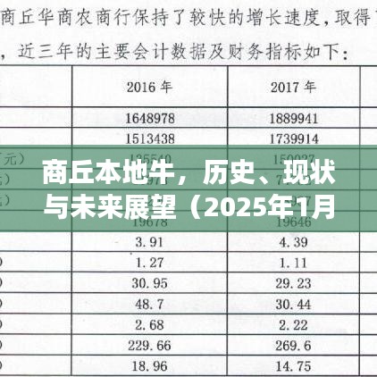 商丘牛业，历史传承、现状解析与未来展望