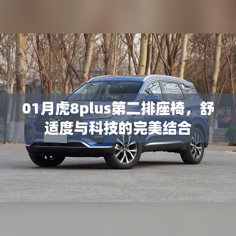 01月虎8plus第二排座椅，舒适度与科技的融合体验