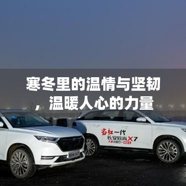 寒冬里的温情与坚韧，温暖人心的力量