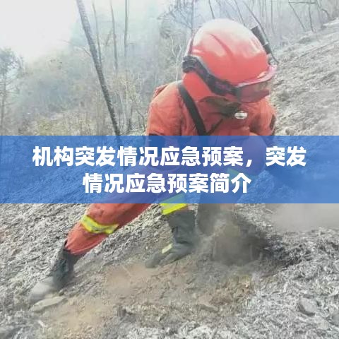 机构突发情况应急预案，突发情况应急预案简介 