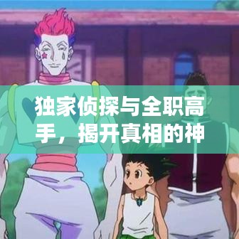 独家侦探与全职高手，揭开真相的神秘面纱