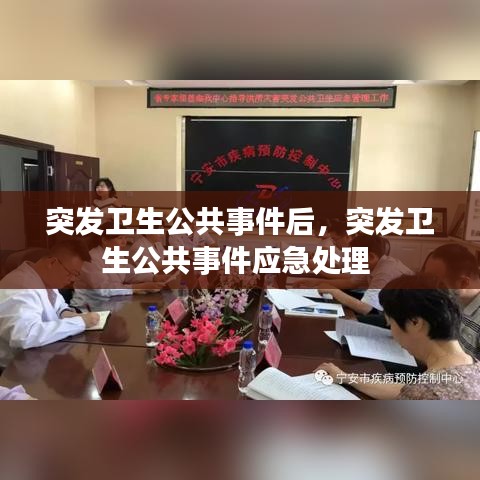 突发卫生公共事件后，突发卫生公共事件应急处理 