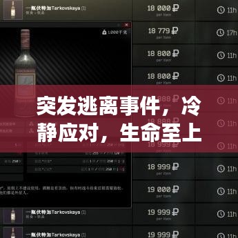 突发逃离事件，冷静应对，生命至上，危机时刻的正确选择