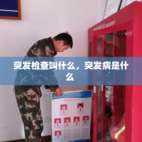 突发检查叫什么，突发病是什么 