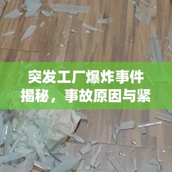 突发工厂爆炸事件揭秘，事故原因与紧急应对措施详解