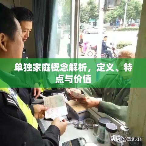 单独家庭概念解析，定义、特点与价值