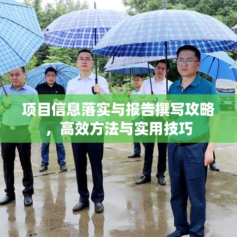 项目信息落实与报告撰写攻略，高效方法与实用技巧