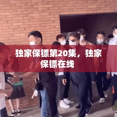 独家保镖第20集，独家保镖在线 