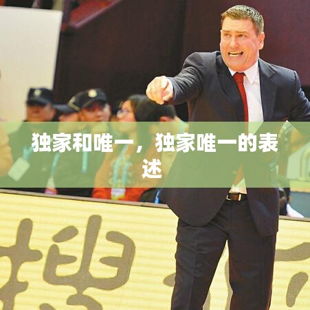 独家和唯一，独家唯一的表述 