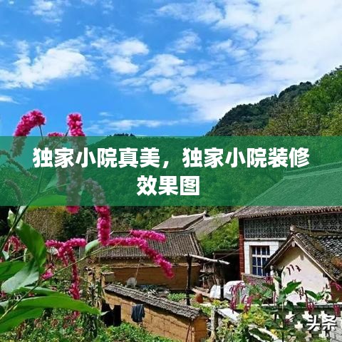 独家小院真美，独家小院装修效果图 