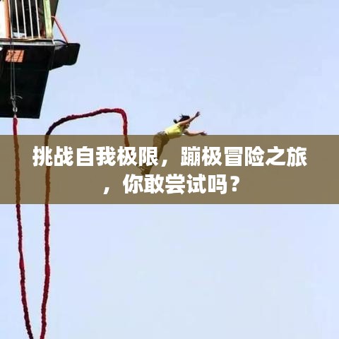 挑战自我极限，蹦极冒险之旅，你敢尝试吗？