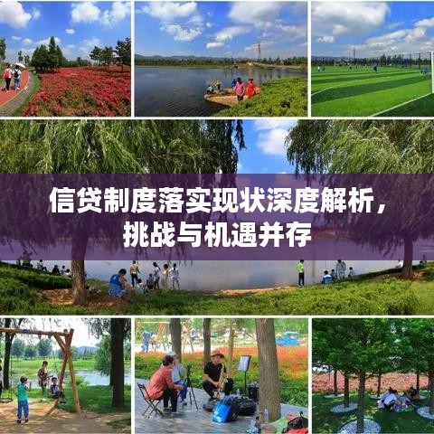 信贷制度落实现状深度解析，挑战与机遇并存