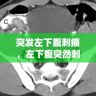 新闻中心 第79页