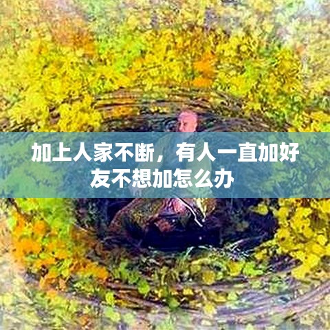 加上人家不断，有人一直加好友不想加怎么办 