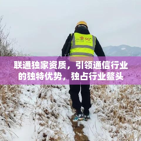 中式台球桌 第75页