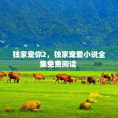 独家宠你2，独家宠爱小说全集免费阅读 