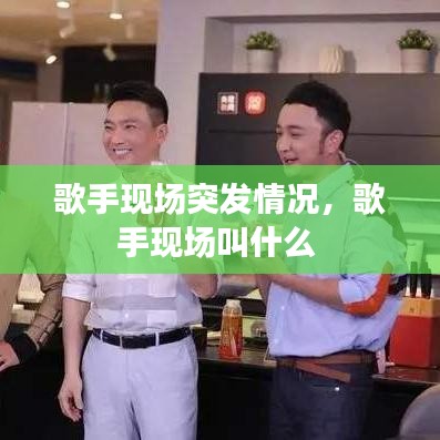 歌手现场突发情况，歌手现场叫什么 
