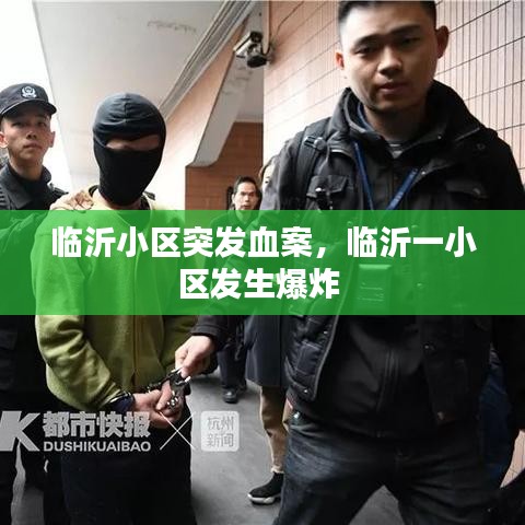 临沂小区突发血案，临沂一小区发生爆炸 