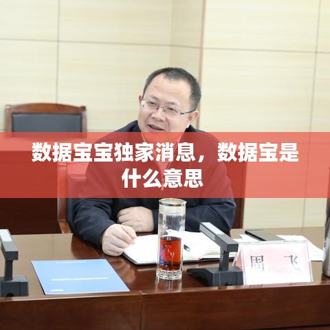 数据宝宝独家消息，数据宝是什么意思 