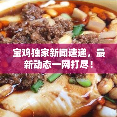 宝鸡独家新闻速递，最新动态一网打尽！