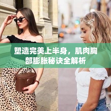 塑造完美上半身，肌肉胸部膨胀秘诀全解析