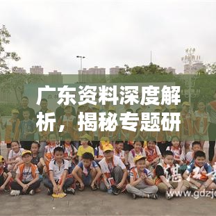 广东资料深度解析，揭秘专题研究背后的数据奥秘