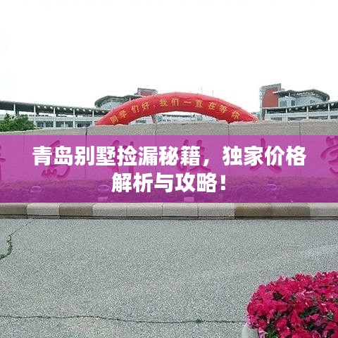 青岛别墅捡漏秘籍，独家价格解析与攻略！