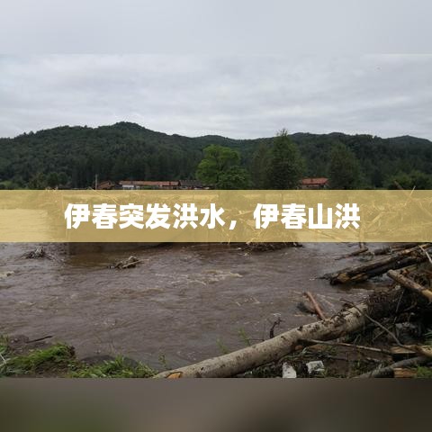 伊春突发洪水，伊春山洪 
