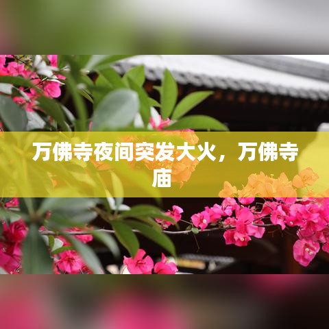 万佛寺夜间突发大火，万佛寺庙 