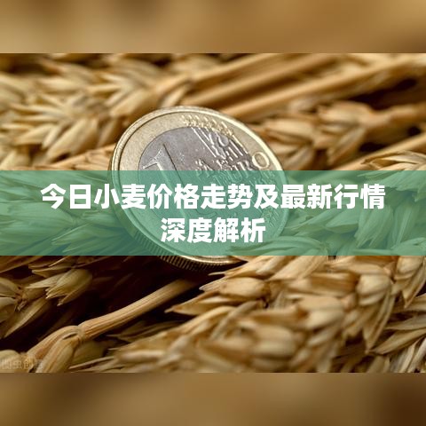 台球房用品 第69页