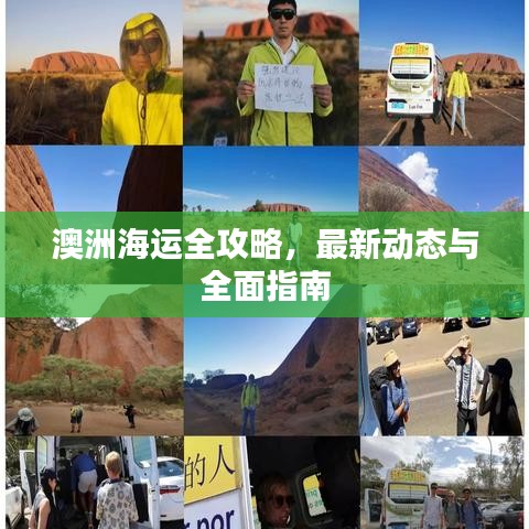 澳洲海运全攻略，最新动态与全面指南