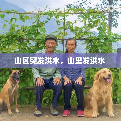 山区突发洪水，山里发洪水 