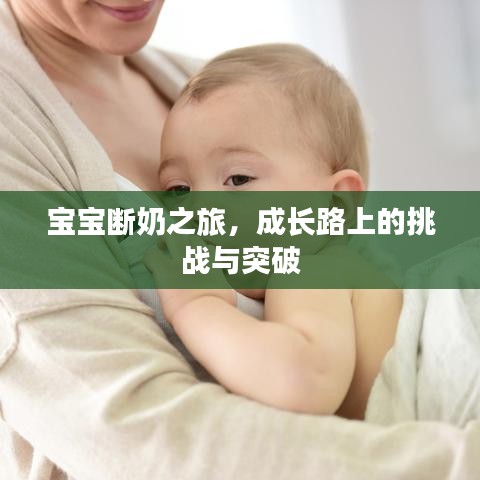 宝宝断奶之旅，成长路上的挑战与突破