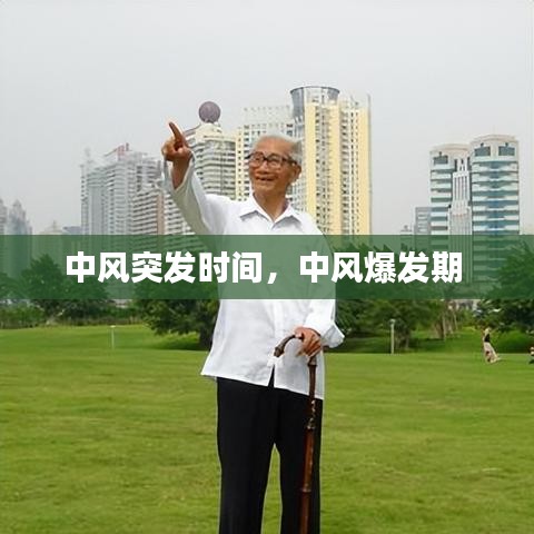 精品球杆 第77页