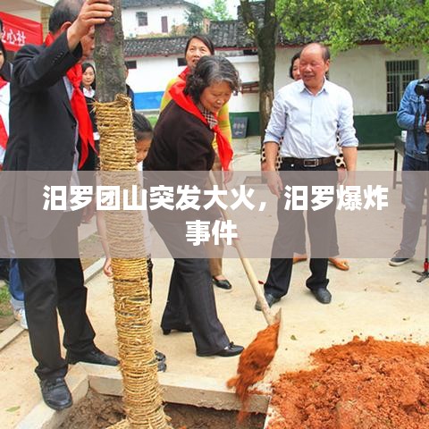 汨罗团山突发大火，汨罗爆炸事件 