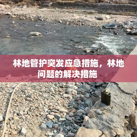 林地管护突发应急措施，林地问题的解决措施 