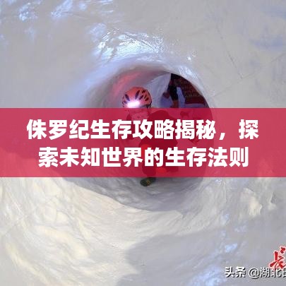 侏罗纪生存攻略揭秘，探索未知世界的生存法则！