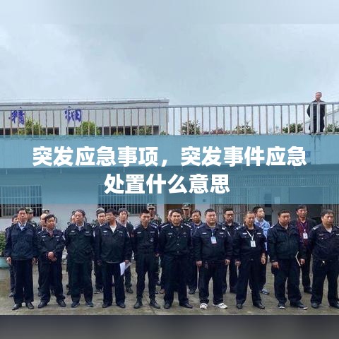 突发应急事项，突发事件应急处置什么意思 