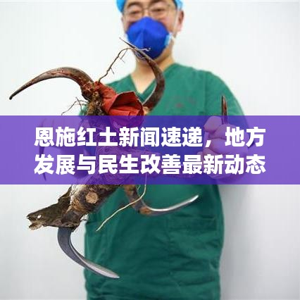 精品球杆 第76页