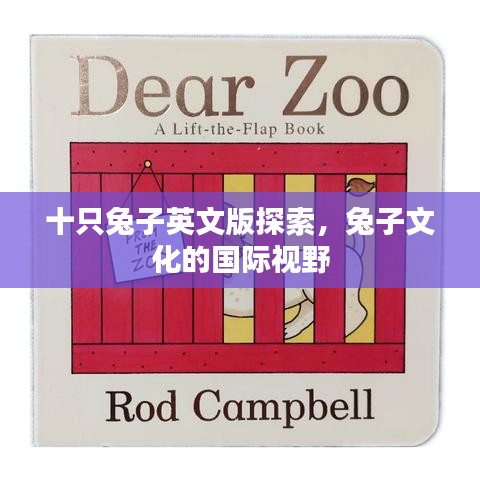 台球房用品 第67页