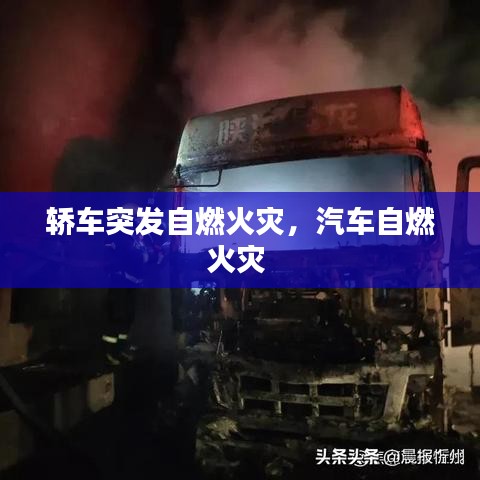 关于我们 第81页