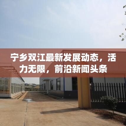 宁乡双江最新发展动态，活力无限，前沿新闻头条