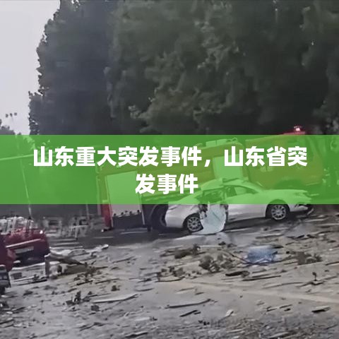 山东重大突发事件，山东省突发事件 