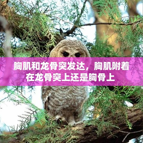 admin 第11页