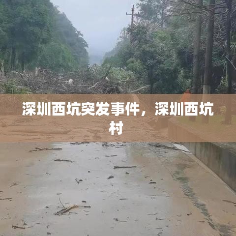 深圳西坑突发事件，深圳西坑村 