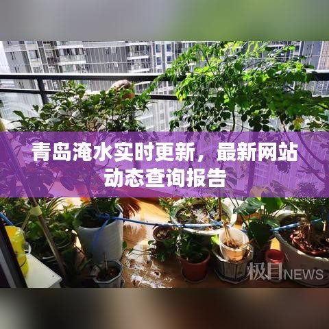 青岛淹水实时更新，最新网站动态查询报告