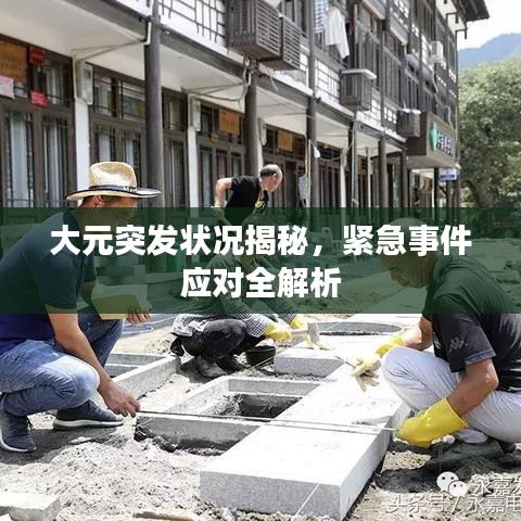 大元突发状况揭秘，紧急事件应对全解析