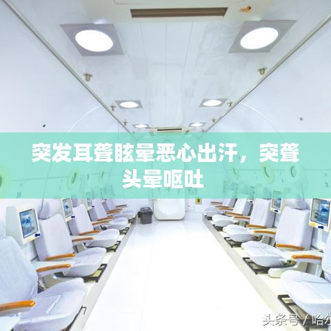 突发耳聋眩晕恶心出汗，突聋头晕呕吐 