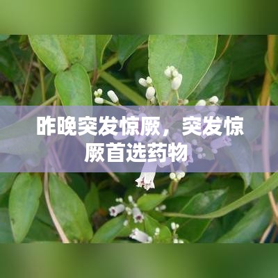 昨晚突发惊厥，突发惊厥首选药物 
